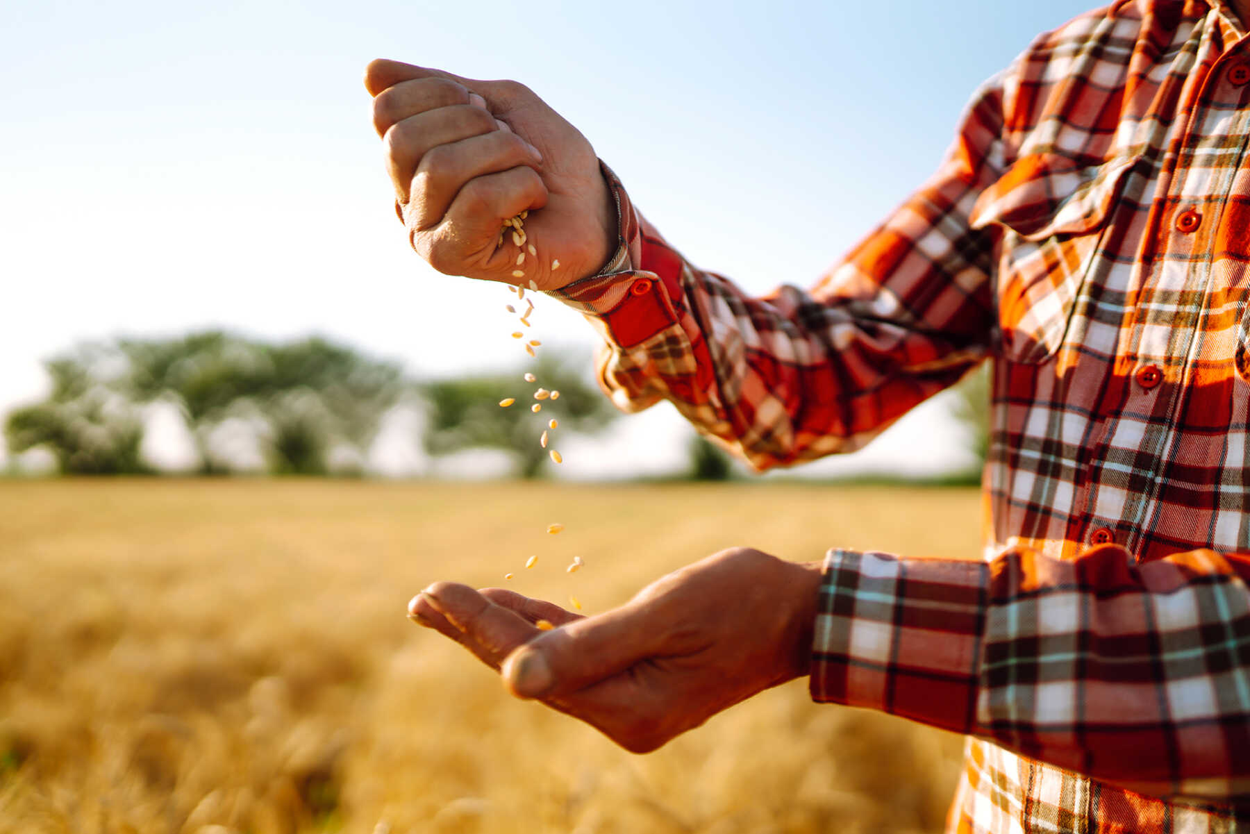 Sostenibilità agricoltura