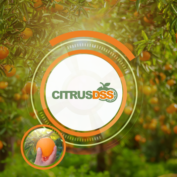 DSS for citrus fruits: CitrusDSS