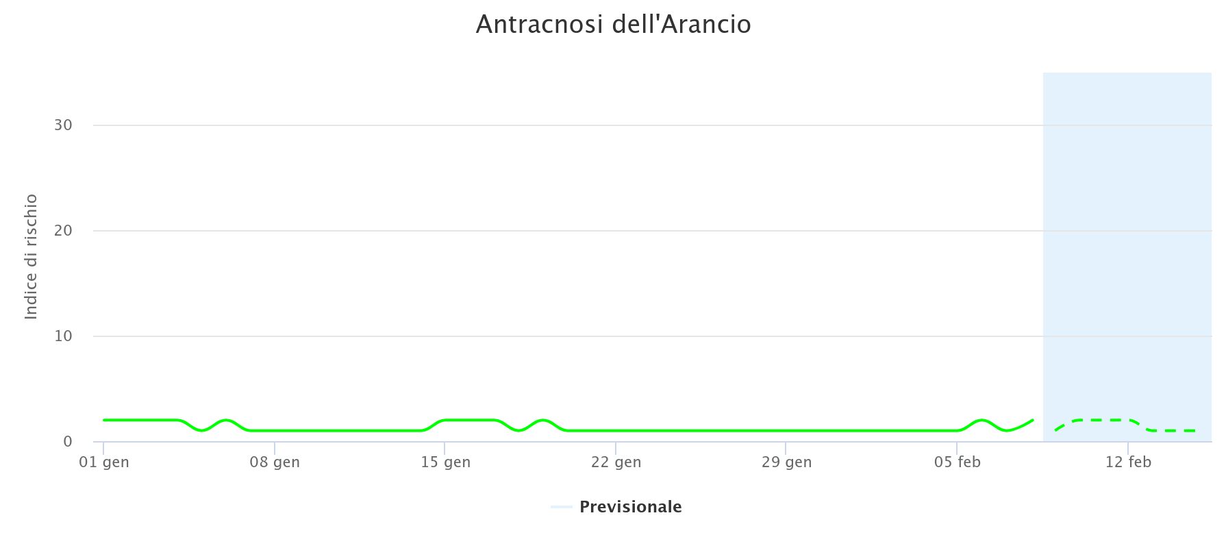 modello Antracnosi 