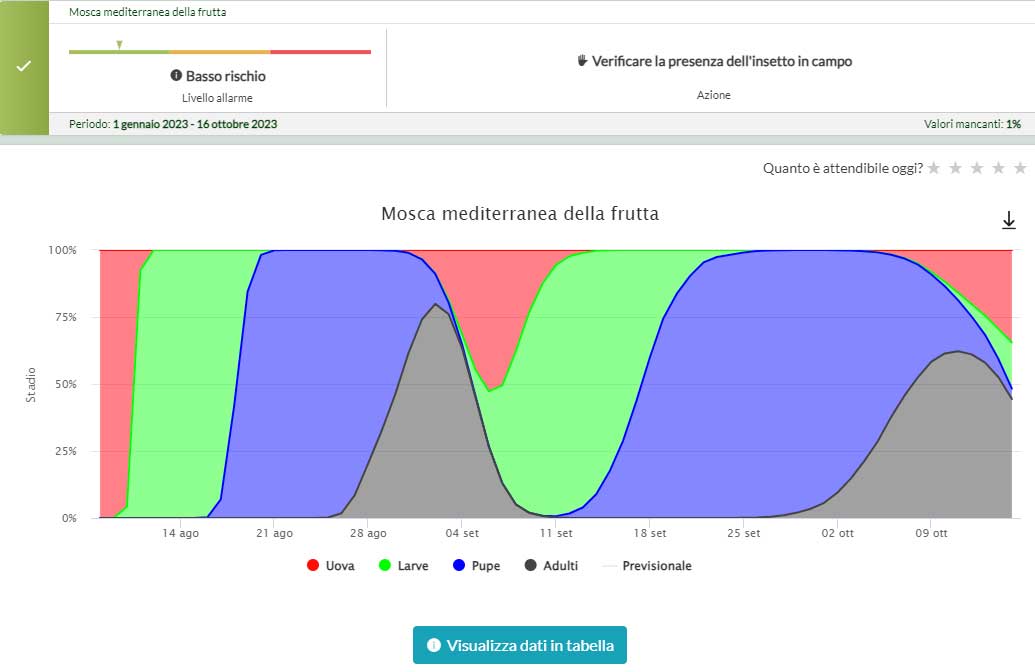 modello mosca della frutta