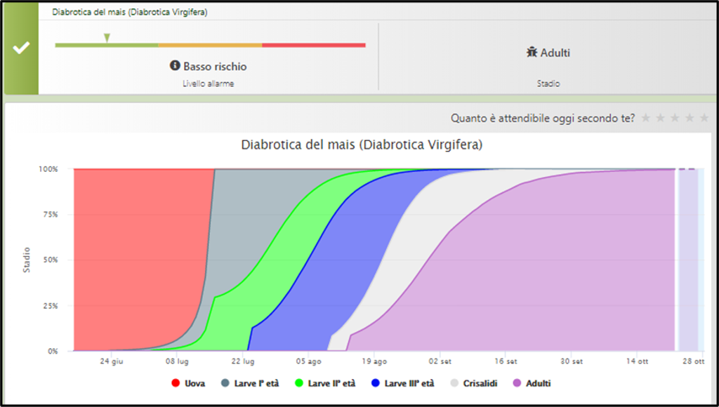 Grafico con esempio dello sviluppo della Diatrobica virgifera del mais nel modello previsionale di difesa di Agricolus