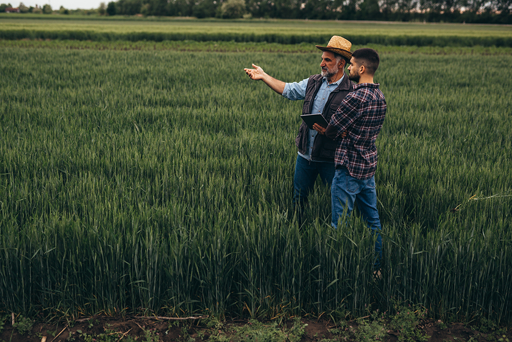 due agricoltori in campo che controllano un tablet