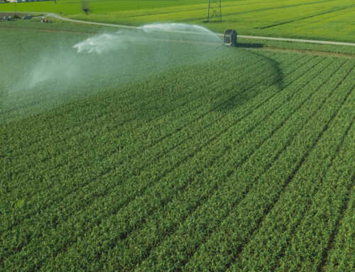 Las ventajas de la irrigación de precisión con Agricolus