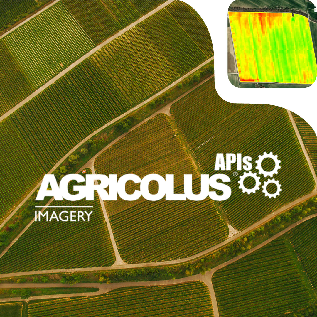 Vista dall'alto di campi coltivati con logo di Agricolus APIs Imagery e dettaglio di un'immagine satellitare dalla piattaforma Agricolus