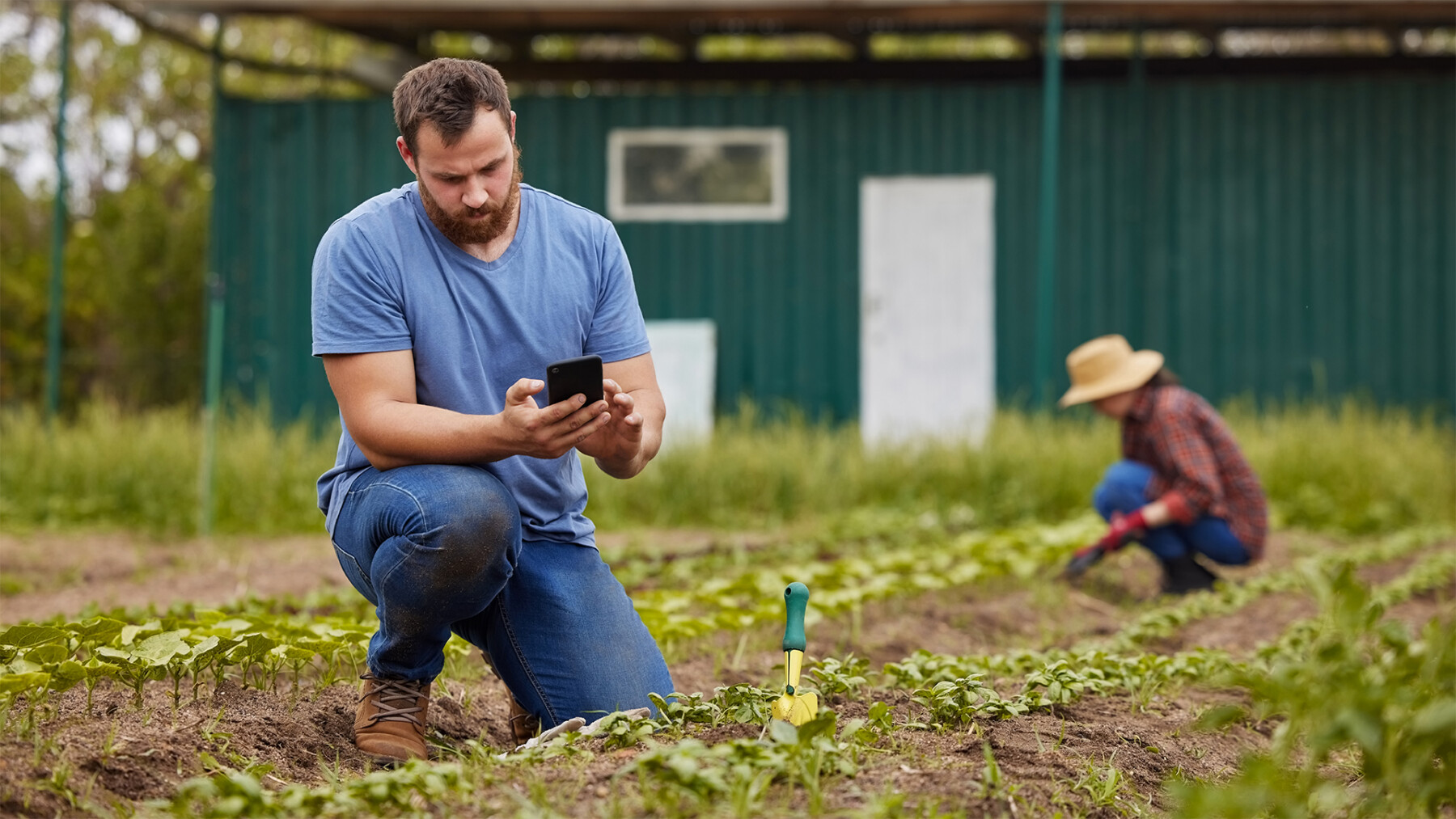 agricoltore in ginocchio in campo che controlla lo smartphone