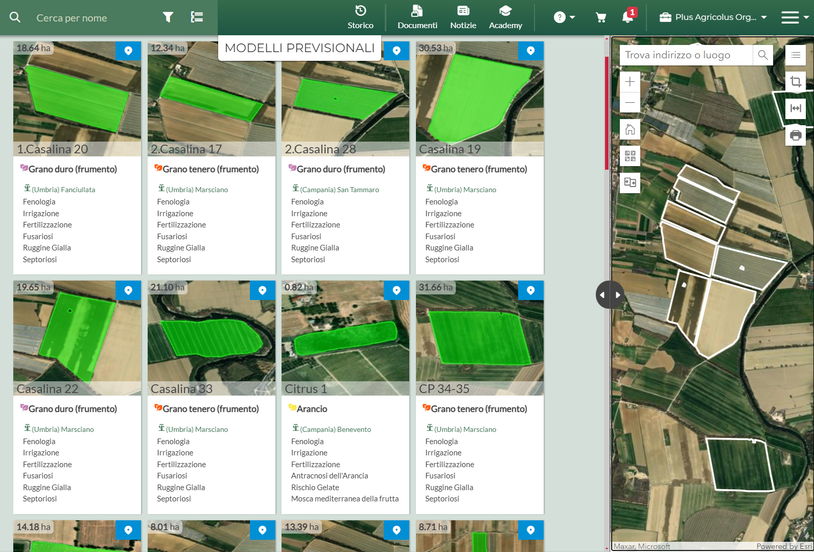 Schermata della soluzione web di Agricolus Plus con modelli previsionali dei vari campi e colture