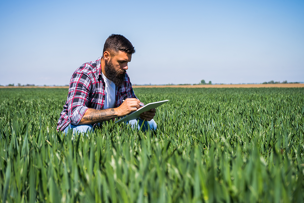 agricoltore in campo con tablet che consulta