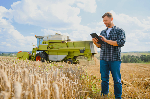 Agricoltore in campo di frumento con mietitrebbia alle spalle che controllo dati su un tablet