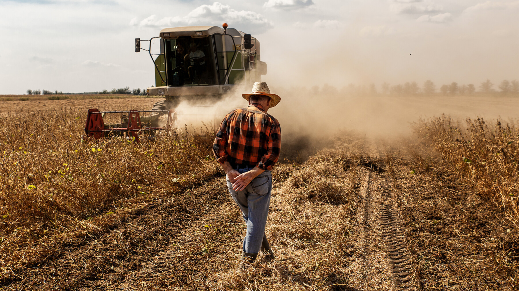 agricoltore che cammina dietro alla mietitrebbia - 