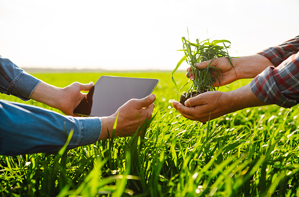 due operatori in campo agricolo, uno mostra un tablet e l'altro mostra una piantina