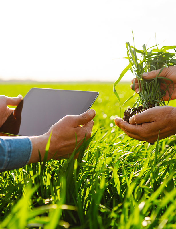 due operatori in campo agricolo, uno mostra un tablet e l'altro mostra una piantina