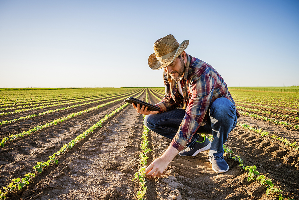 agricoltore con tablet in campo che controlla il terreno - mappatura campi