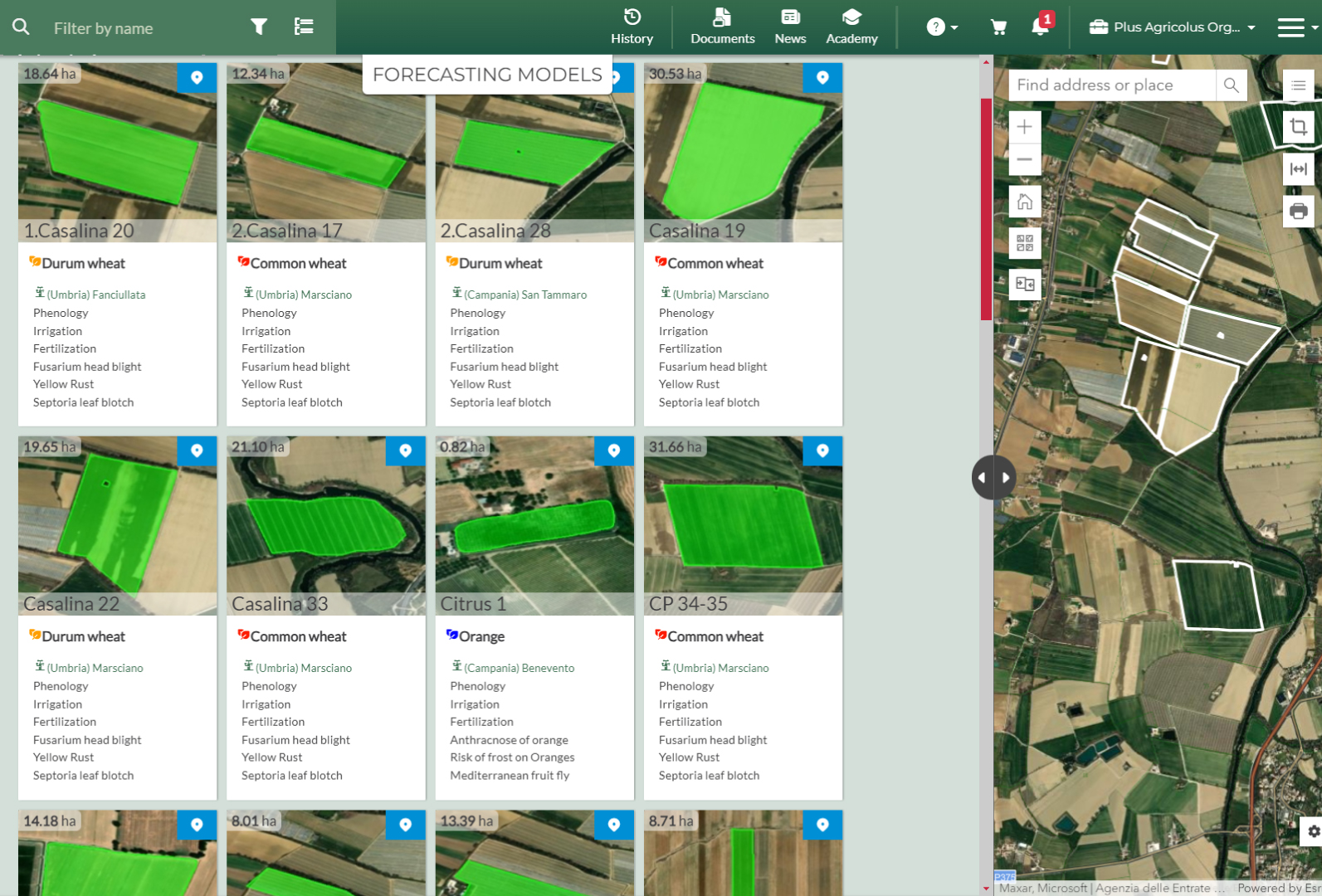 Screenshot of the Agricolus Plus web solution with forecast models of the various fields and crops