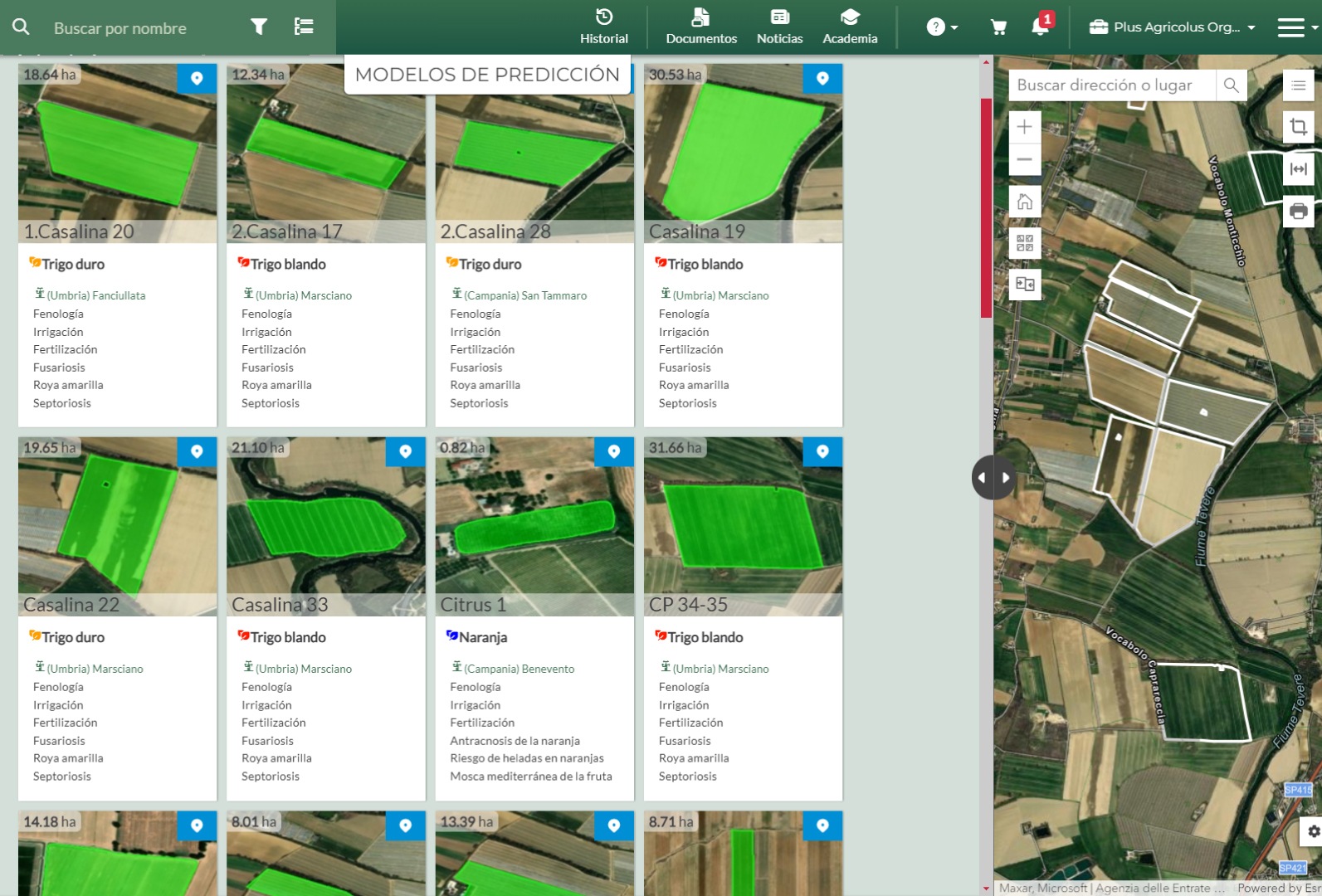 Imagen de la solución web Agricolus Plus con modelos de predicción de los distintos campos y cultivos