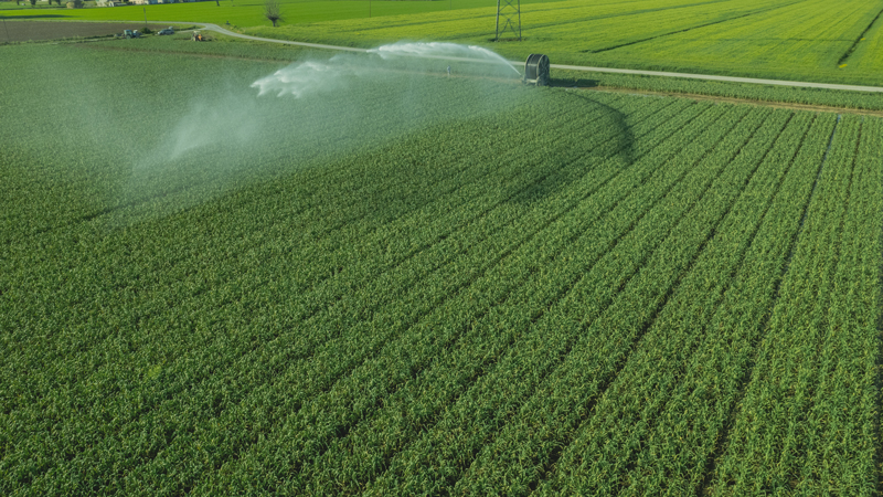 Irrigazione di precisione su campo coltivato