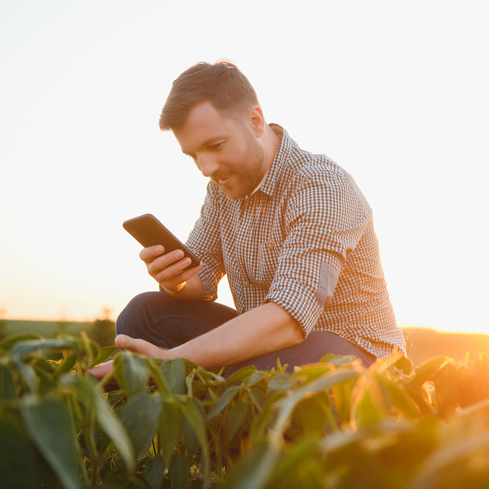 agricoltore in ginocchio in campo con smartphone che controlla la coltura con l'app di Agricolus