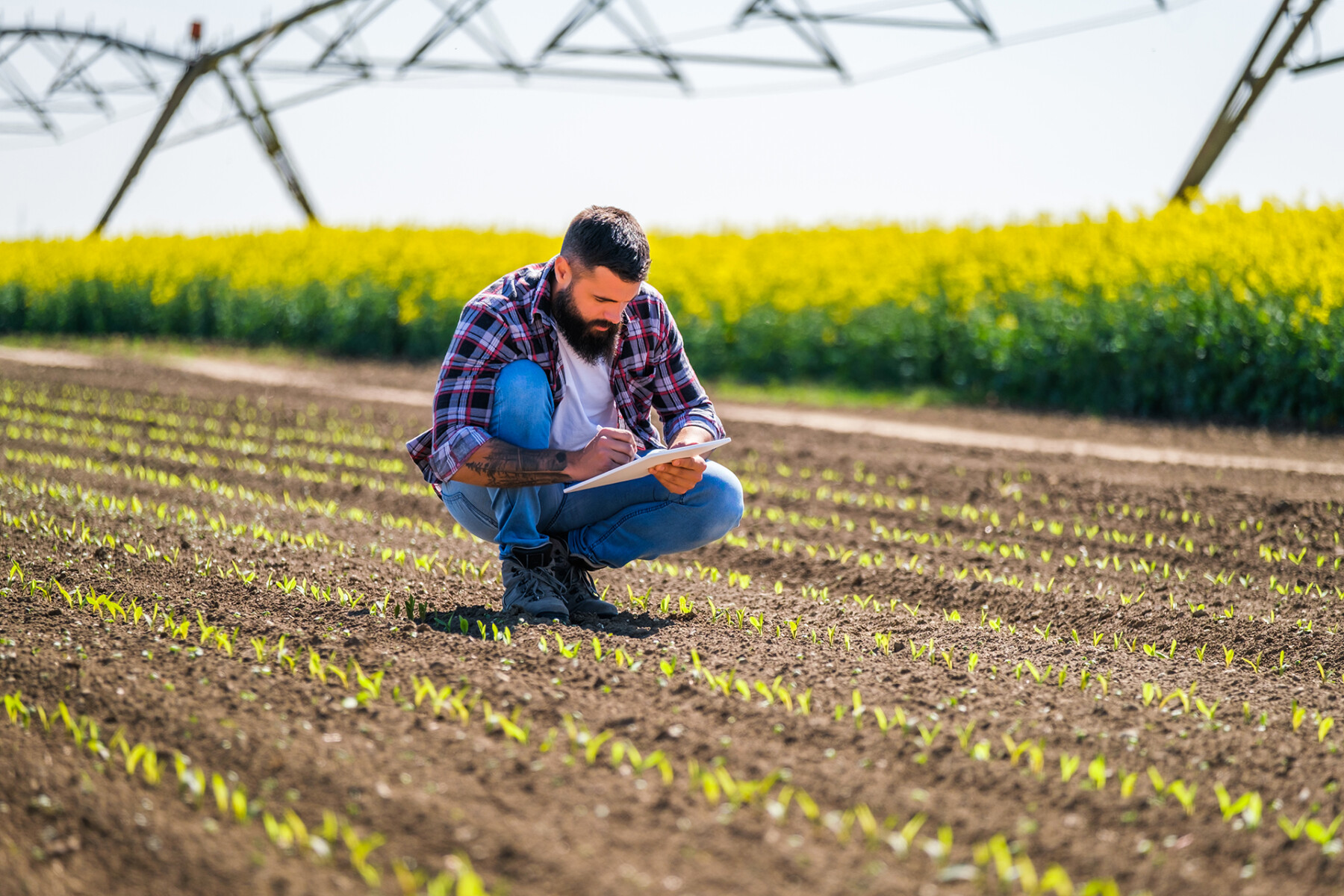 Agricoltore con tablet che sta esaminando i progressi del raccolto nel suo campo di mais, sullo sfondo un impianto di irrigazione