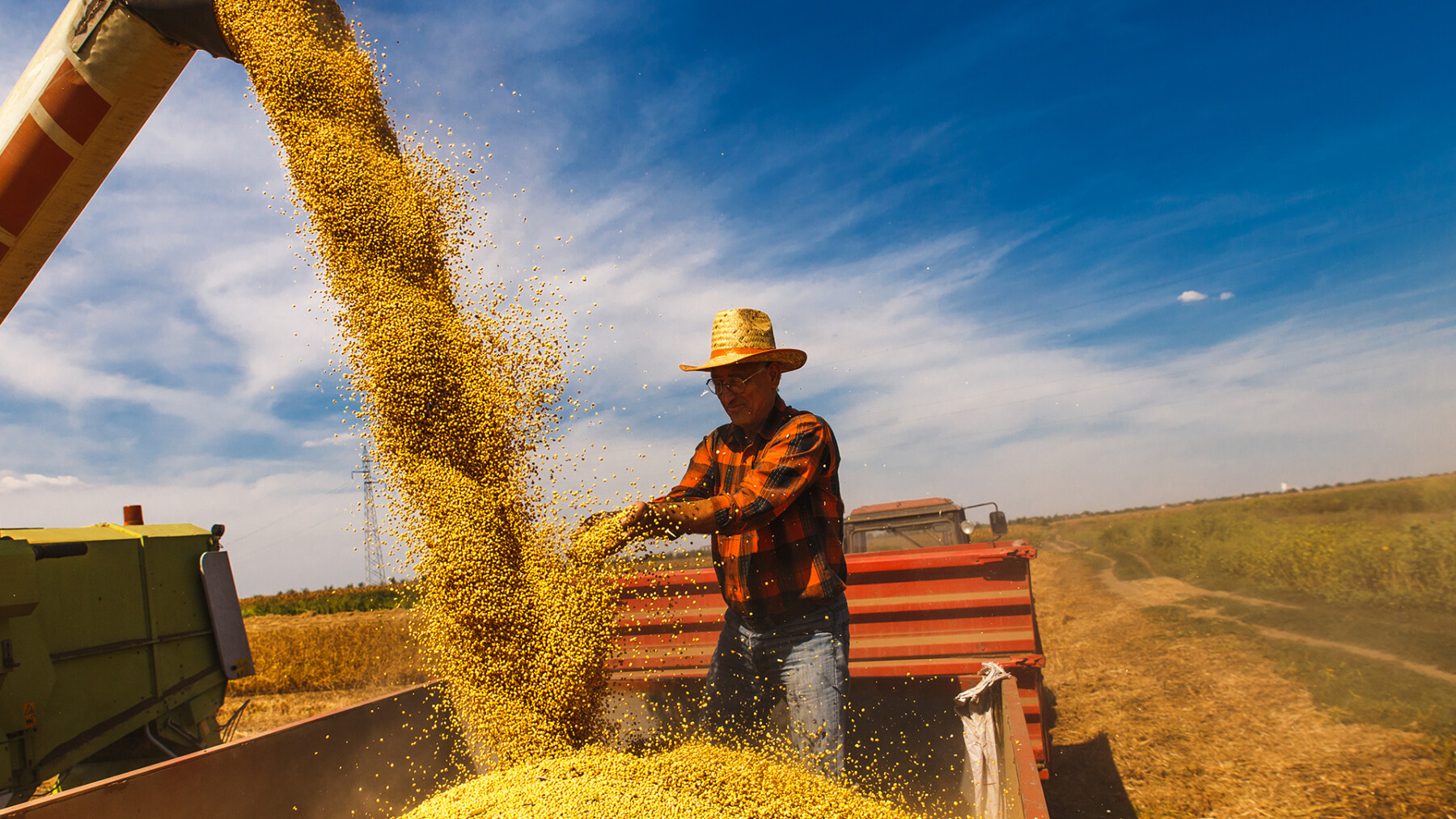 agricoltore su trattore che controlla il raccolto che viene depositato da una raccoglitrice