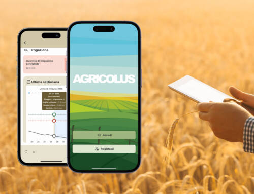 How to improve agronomic management with the new Agricolus App