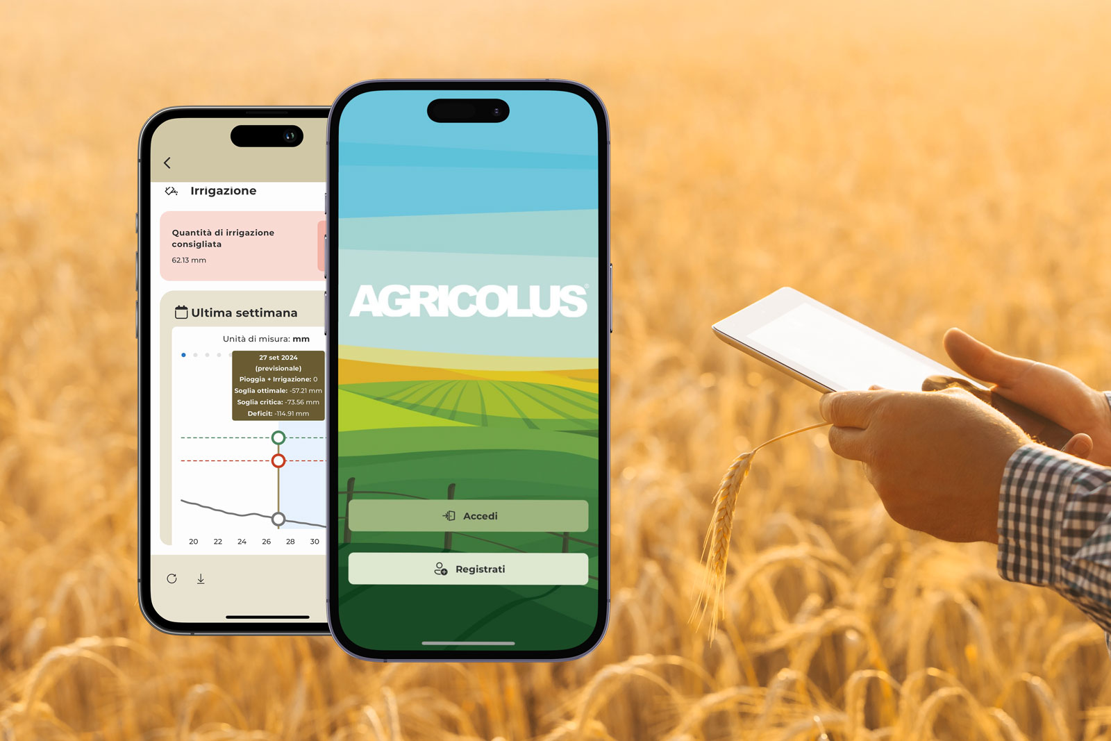 Smartphone con screen della App Agricolus per la gestione agronomica sullo sfondo di un campo di grano in cui si intravedono due mani che consultano un tablet