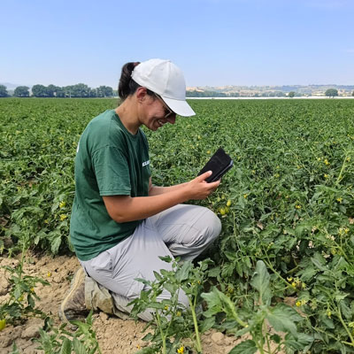 agronomo-in-campo-con-smartphone-con-App-Agricolus