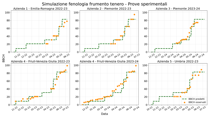 Figura 1: Andamento temporale dello sviluppo fenologico del frumento nei sei casi studio presi in considerazione; in verde sono rappresentate le simulazioni delle fasi fenologiche fatte dal modello previsionale mentre in arancione sono raffigurati i campionamenti a terra - Agricolus