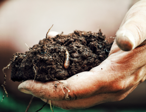 Sostanza organica del suolo: il valore aggiunto dell’agricoltura di precisione